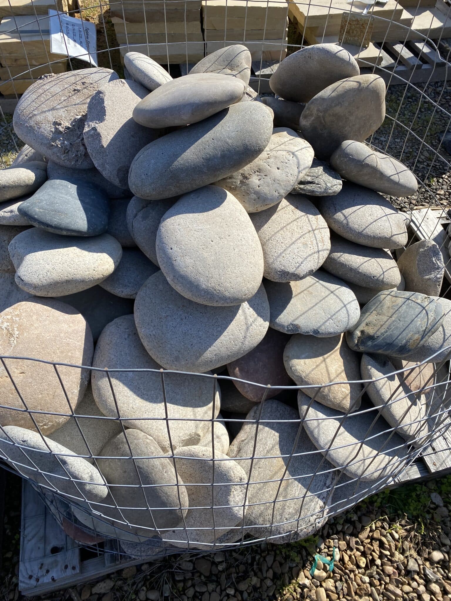 IMG 0111