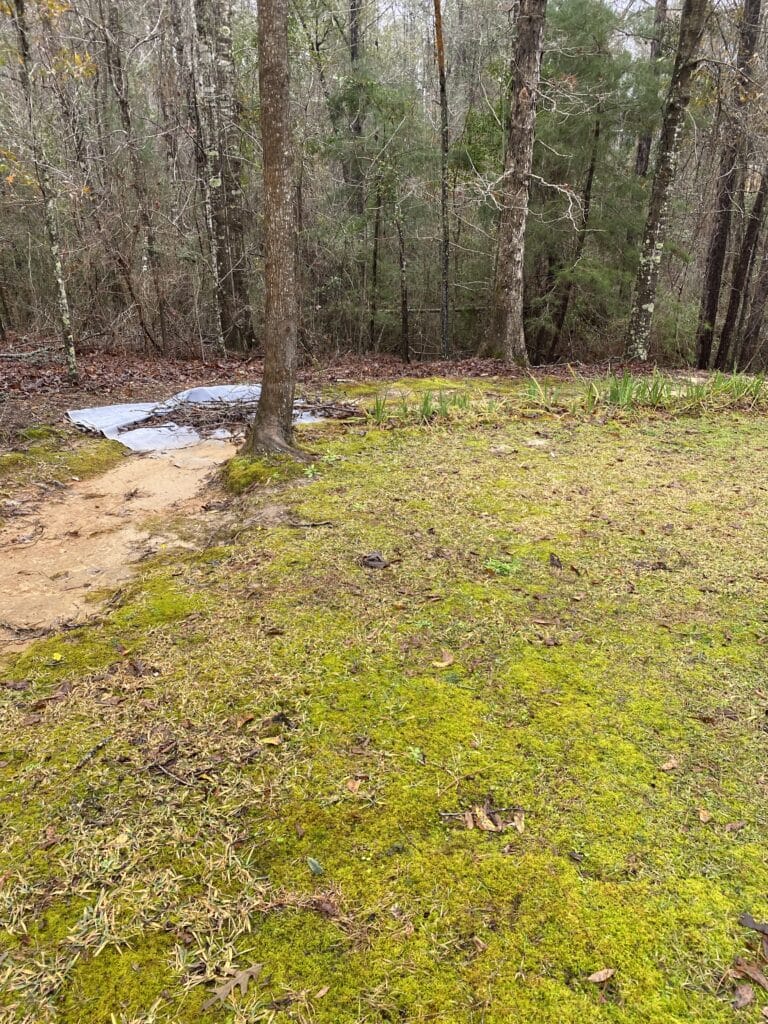 IMG 0173