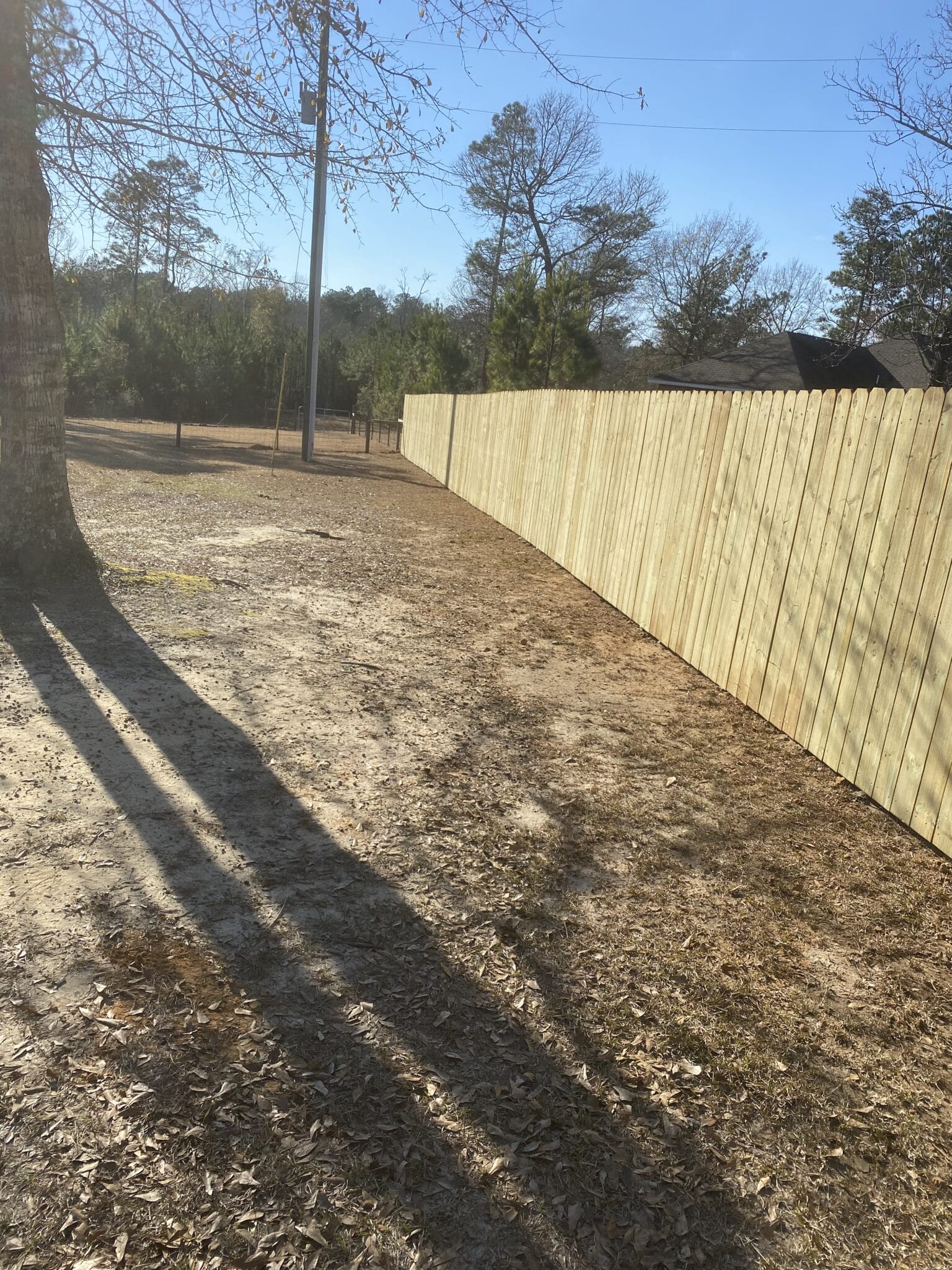 IMG 0209
