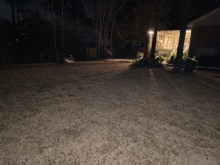IMG 0219