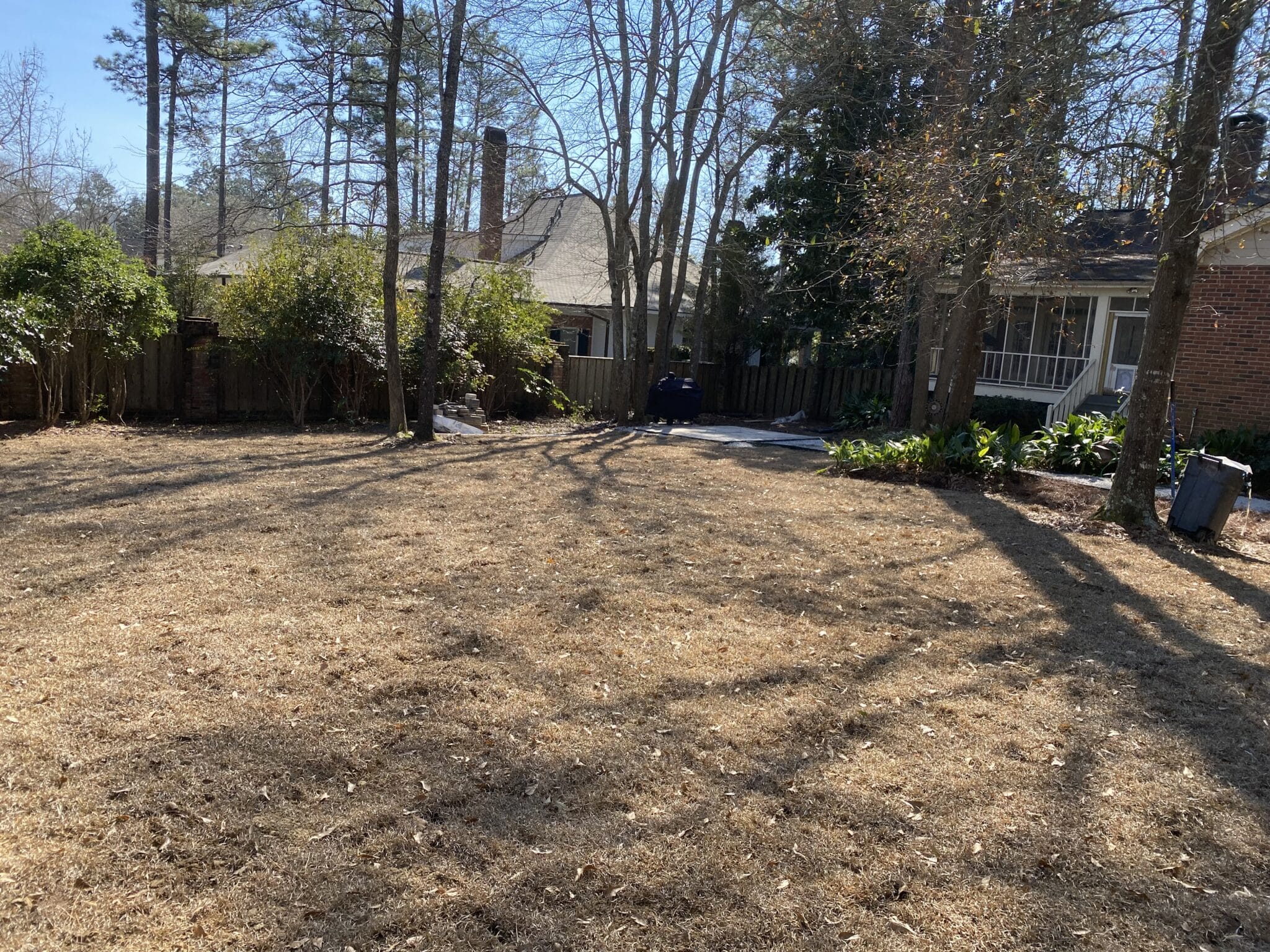 IMG 0231