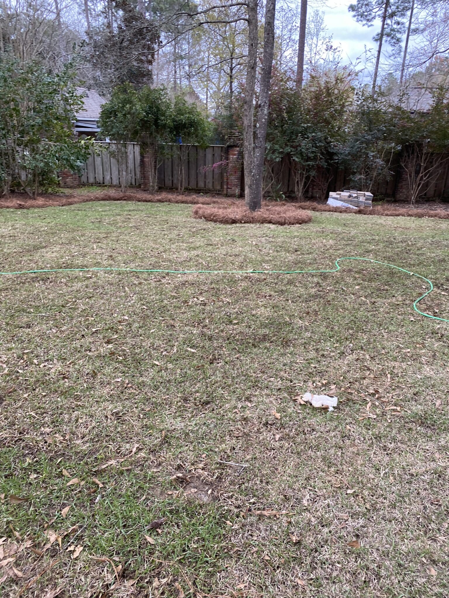 IMG 0849